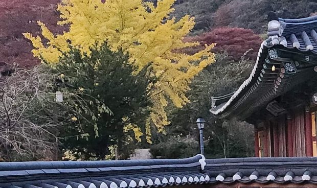 http://www.daewonsa.or.kr/