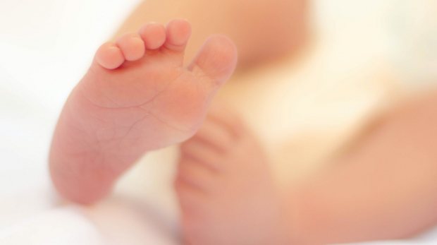 Photo by Irene Lasus, https://www.pexels.com/photo/baby-s-right-foot-in-macro-photograph-86161/